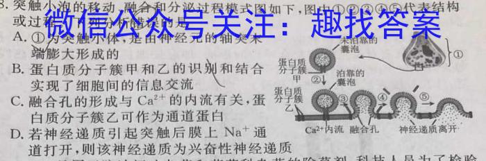 邕衡金卷2023届高考第三次适应性考试文理 数学
