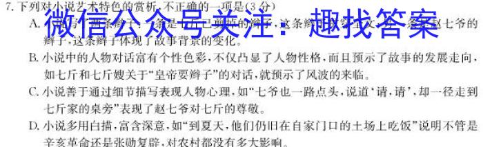 河南省2022-2023学年下期高一年级期末联考语文