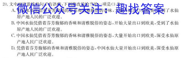 郴州九校联盟2023届适应性测试(5月)语文