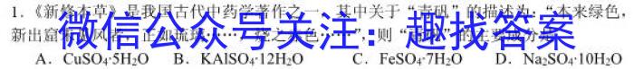 2023年广东省普通高中学业水平考试压轴卷(五)化学