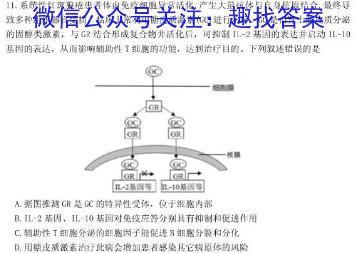 日照市2022级高二下学期期末校际联合考试(2024.07)数学