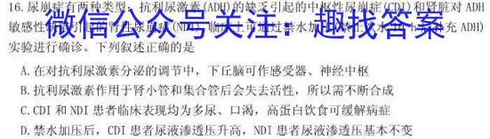 1号卷·2023年A10联盟高一年级(2022级)下学期6月学情调研考试数学