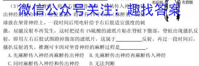 2024年河南省中招备考试卷(十四)数学