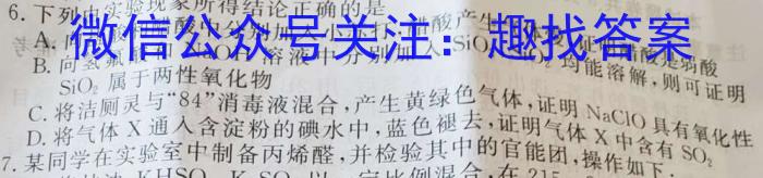 一步之遥 2023年河北省初中毕业生升学文化课考试模拟考试(十一)化学