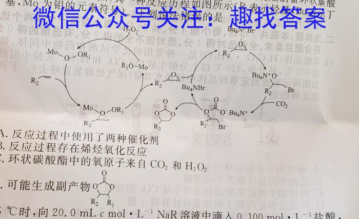 湖南省2023届高三一起考大联考(模拟四)化学