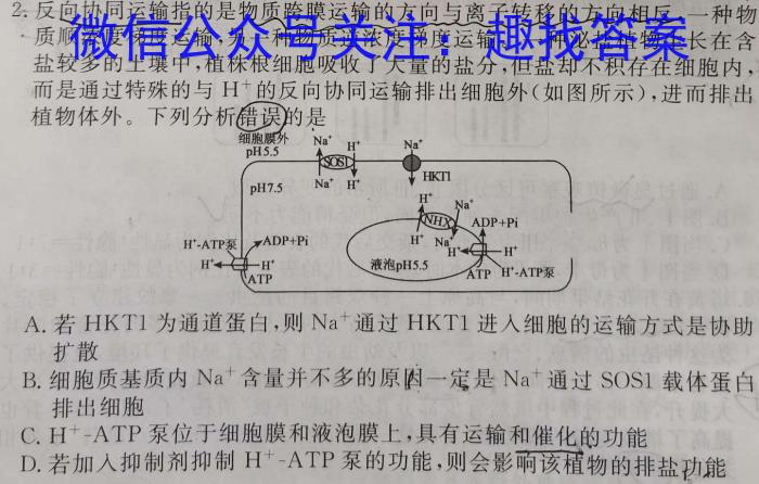 湖北省高中名校联盟2024届高三第三次联合测评数学