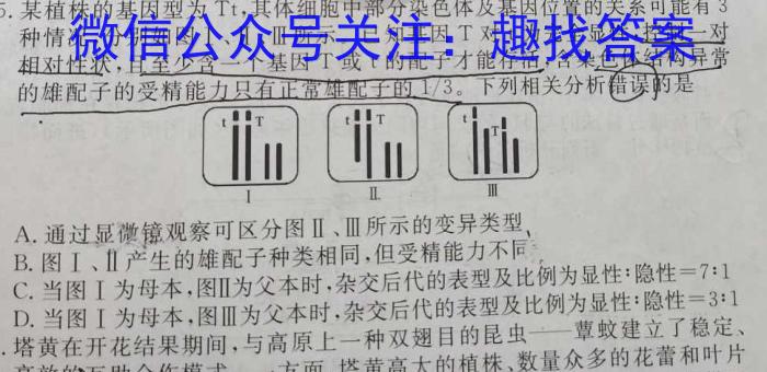 湖南省衡阳市2024-2025学年上学期初一入学素质调研数学