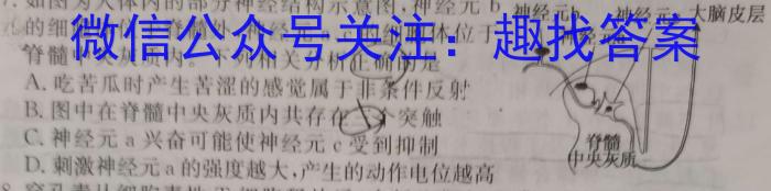 2024年广西初中学业水平考试模拟卷(二)数学