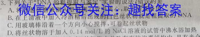 大联考·2024-2023学年高一年级阶段性测试（五）数学