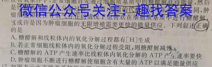 江西省上饶市民校考试联盟2023-2024年度上学期阶段测试（高三）数学