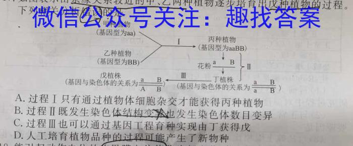 2024年普通高等学校招生统一考试冲刺预测押题卷(六)6数学