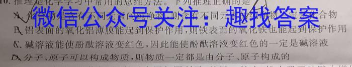 安徽省2022-2023学年度八年级阶段诊断【R- PGZX F- AH（八）】化学