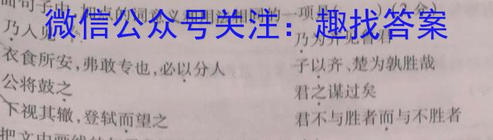 2023年山西省中考信息冲刺卷·压轴与预测(二)语文