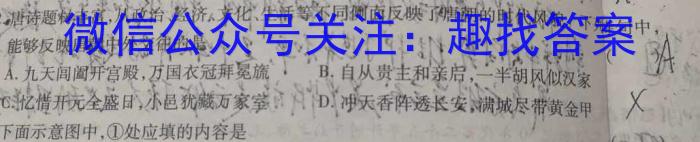 江西省2024届八年级《学业测评》分段训练（八）历史