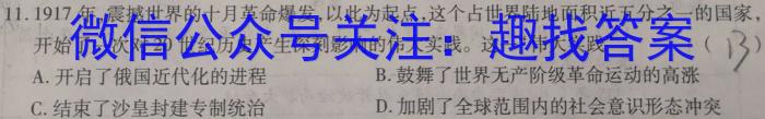 文博志鸿 2023年河南省普通高中招生考试模拟试卷(信息卷二)历史