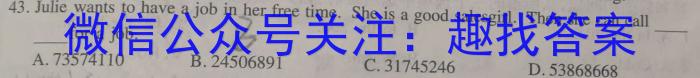 安徽省六安市金寨县2022-2023学年度八年级第二学期期末质量监测英语