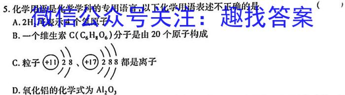 2023年陕西省初中学业水平考试·中考信息卷B化学