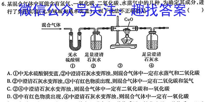 2023年陕西省九年级临考冲刺卷（A）化学