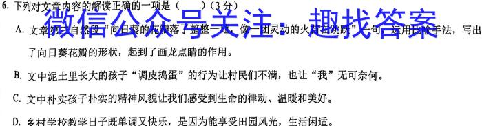 2023年陕西省初中学业水平考试全真模拟(八)语文
