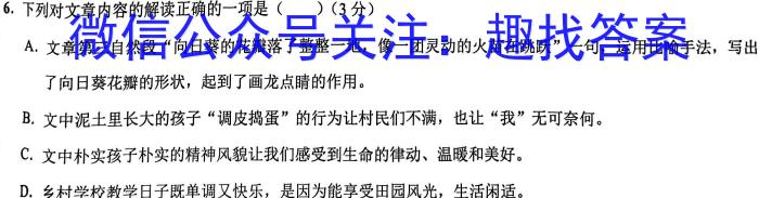 广西省北海市2023年春季学期高二期末教学质量检测(23684B)语文