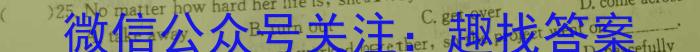 中考模拟压轴系列 2023年河北省中考适应性模拟检测(夺冠一)英语