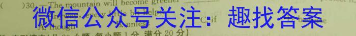 山西省大同一中2023-2024学年八年级第二学期阶段性综合素养评价（二）英语