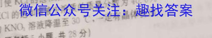 文博志鸿 2023年河南省普通高中招生考试模拟试卷(密卷一)化学