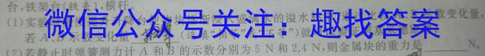 河南省平顶山市2022-2023学年高一下学期期末调研考试物理.
