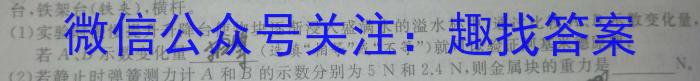 2023年安徽省初中学业水平考试冲刺试卷（三）物理`