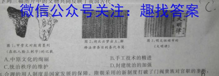 2023届安徽省中考联盟压轴卷(三个黑三角)历史