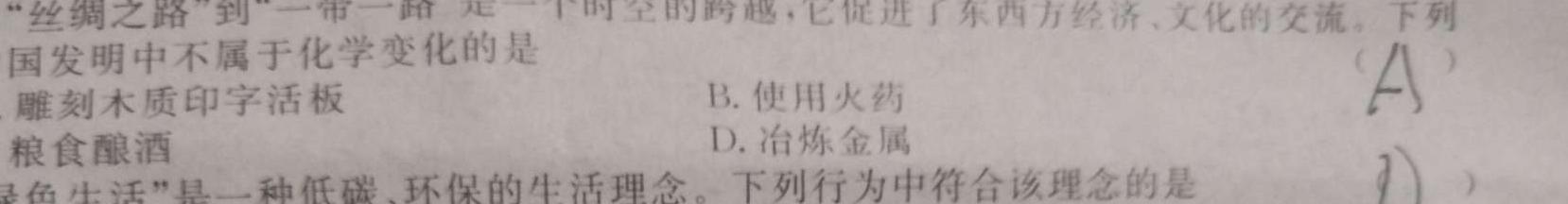 2023年陕西省初中学业水平考试全真模拟押题卷(二)化学
