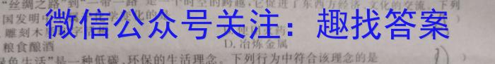 2023年山西省中考信息冲刺卷·压轴与预测（一）化学