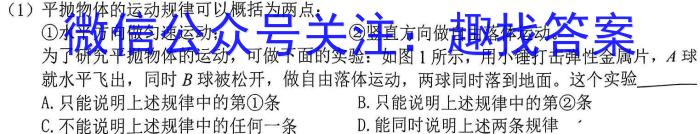 桂柳文化 2023届高考桂柳鸿图仿真卷二(2)物理.