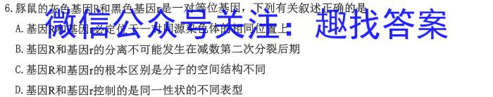 陕西省西安市西咸新区2023-2024学年度八年级第一学期期末质量检测数学