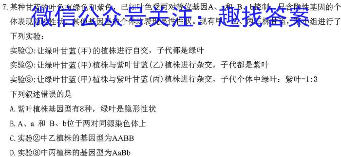 河南省2024届九年级第一学期学习评价（2）数学