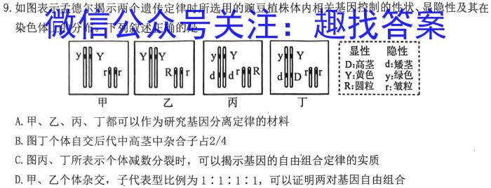 2024届高三年级TOP二十名校冲刺一（4222C）数学