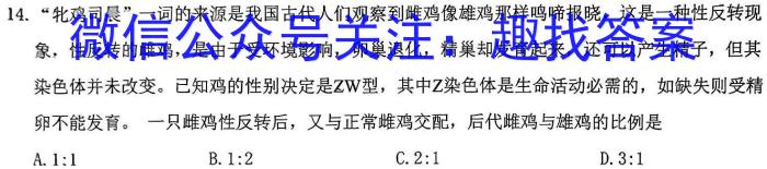 安徽省2022-2023学年度第二学期九年级作业辅导练*文理 数学