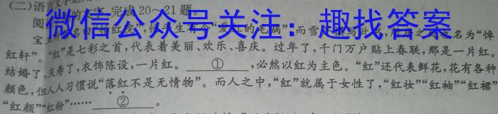 江淮名卷·2023年省城名校中考调研（四）语文