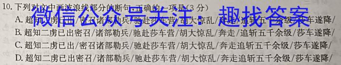 江西省2023年九年级第二次学*效果检测语文