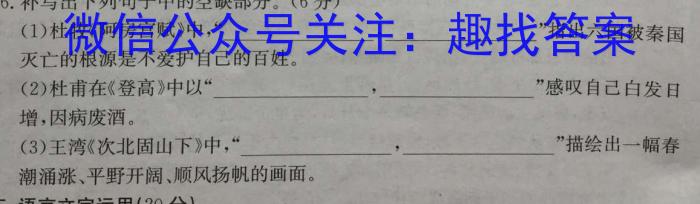 河南省2023年春季学期高二年级7月质量检测语文