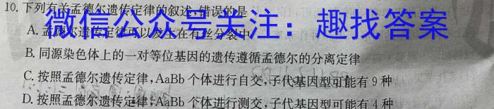 吉林省辉南县2023-2024高三上学期第二次半月考数学