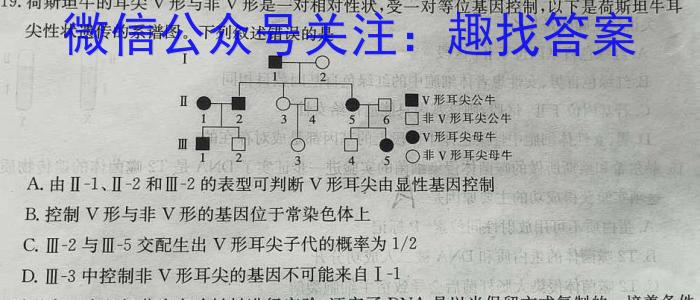 炎德英才大联考 2023年高考考前仿真模拟二数学