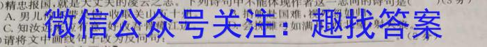 2024届普通高等学校招生统一考试青桐鸣高二5月大联考语文