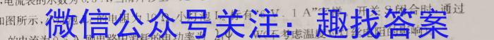 2023年陕西省初中学业水平考试信息卷(A).物理