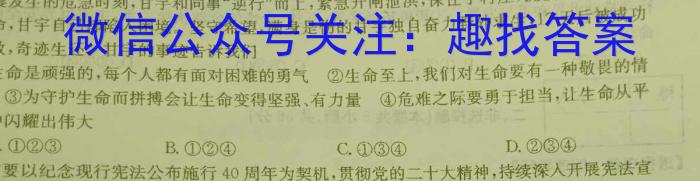 2023年安徽省初中学业水平考试冲刺试卷（二）q地理
