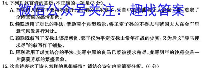 2023年普通高等学校招生全国统一考试·临门猜题卷(二)语文