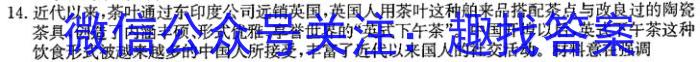 山西省2022-2023学年度八年级下学期阶段评估（二）历史