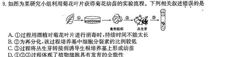 陕西省2022~2023学年度七年级下学期期末综合评估 8L R-SX数学考试