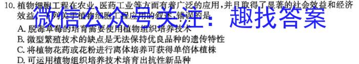 鼎成原创模考 2024年河南省普通高中招生考试命题信息卷(三)3数学