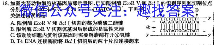 九师联盟·河南省2024年1月高二年级质量检测数学